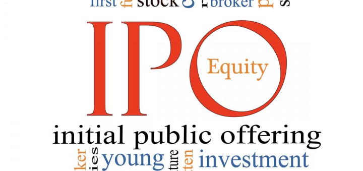 INITIAL PUBLIC OFFERING 101