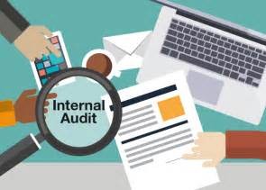 STANDAR ATRIBUT INTERNAL AUDIT MENURUT IPPF