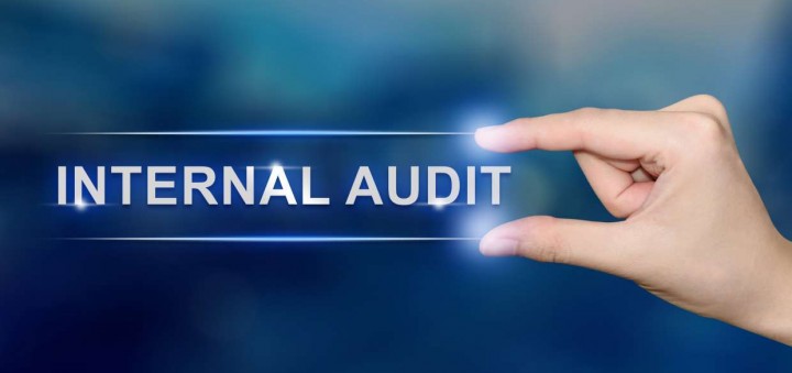 PERAN AUDITOR INTERNAL DALAM INOVASI BISNIS